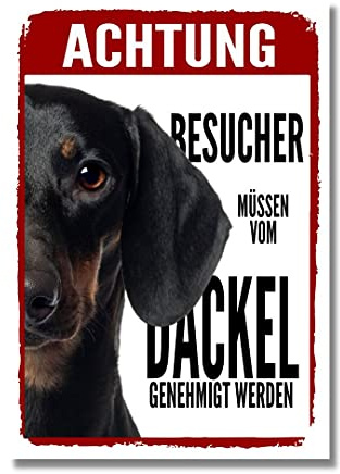 Dackel 2 Genehmigung Dog Schild Spruch Türschild Hundeschild Warnschild Geschenkidee Sicherheitsschild Hund Privatgrundstück Hundewarnung Warnung vor dem Hund Teckel