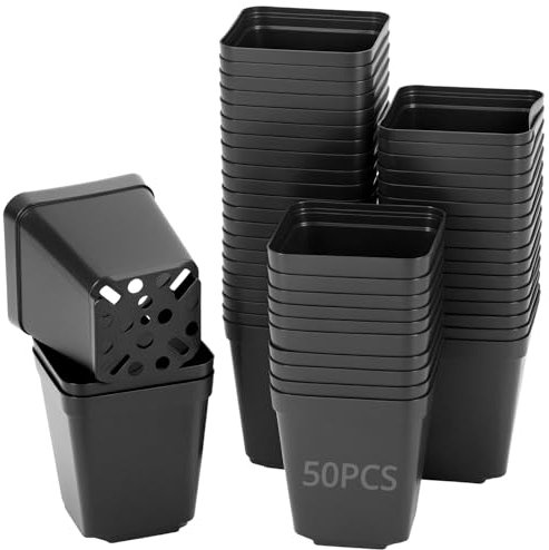 QWORK® 50 Piezas macetas cuadradas de plástico de 5.5 cm para vivero, Ideales para iniciar Semillas, esquejes y trasplantes