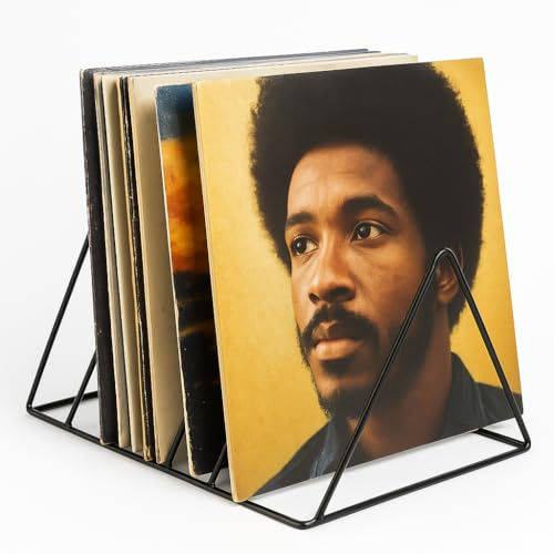 Soporte Vinilos Metálico | Estantería para 75 LPs sin Montaje | estanterias metalicas para Discos de Vinilo - Mueble Tocadiscos | Expositor con Capacidad para 75 LPs - No Requiere Montaje