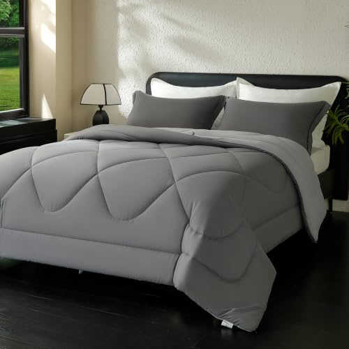 beeweed Piumino Letto Piazza e Mezza Quattro 4 Stagioni, Reversibile Piumone Autunnale Invernale 200x200cm - Coperta Trapunta 200x200 di Microfibra Sintetico 300 GSM, OEKO-TEX, Con 2 federa(40X80)