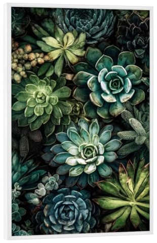 artboxONE Poster mit weiem Rahmen 75x50 cm Natur Sukkulenten und Kakteen R - Bild sukkulenten Blumen Blumen