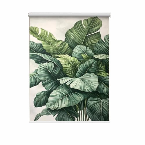 Verdunkelungsrollo für Fenster im Heimbüro mit exquisitem Muster, Sichtschutz, Wärmedämmung, wasserdicht, Rollo (50 x 125 cm, D)