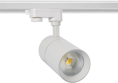 LEDKIA 3-Phasenstromschiene LED-Strahler 30W Dimmbar CCT Wählbar Mallet Wei