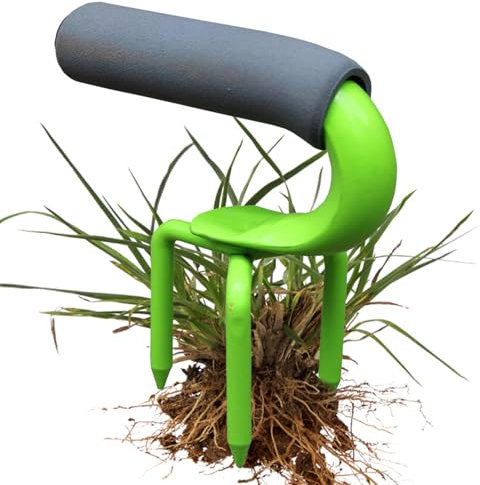 Dtaigou Râteau à Main de Jardin, Outil de Main de la Griffe de Jardin | Râteau de Petite Main Robuste,Outil Manuel des Mauvaises Herbes Manche Ergonomique Griffe de Jardin pour cultiver