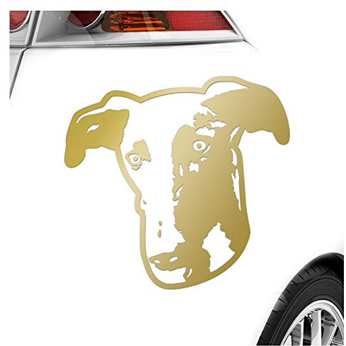 Kiwistar - Autoaufkleber - Greyhound Hund - Gold - 60x55cm - Heckscheibe Auto Aufkleber wetterfest für Kfz LKW Mofa Truck - Sticker außen selbstklebend Tuning Zubehör für Fenster Fahrzeug Scheibe