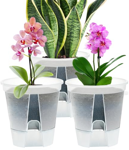 IWTTWY 3 Pack Self Watering Plant Pot, 15cm Plastic Flower Pots, Seed Seedling Pots for Indoor with Drainage Maintains, Herb Planter for Orchid, African Violet, Rose, Tulips (Clear)