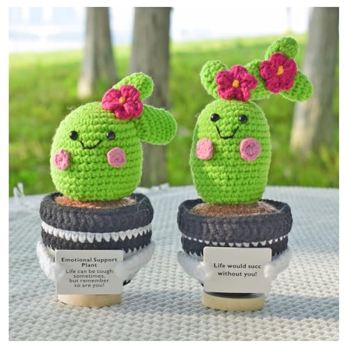 Aiouclay 2 pezzi Cactus positivo all'uncinetto, 15,5 cm, regalo di patate con biglietto incoraggiante, supporto emotivo, regalo all'uncinetto per colleghi, amici, insegnanti, ufficio, decorazione da