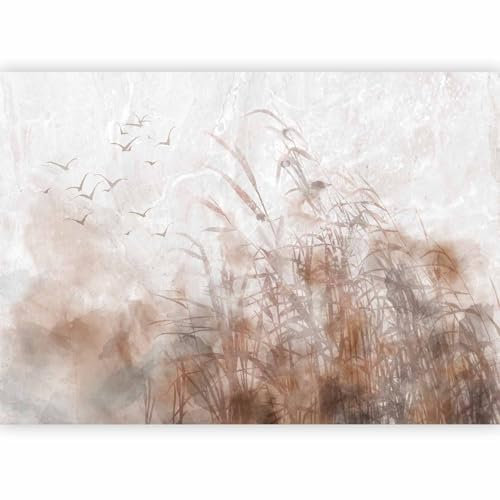 murando Fotomurales Naturaleza 350x256 cm XXL Papel pintado tejido no tejido Decoración de Pared decorativos Murales moderna de Diseno Fotográfico Paisaje Pájaro Pradera como pintado c-A-0238-a-a