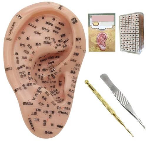 Xoeryoy Kit de acupuntura con semillas para oídos, kit de agujas de acupuntura, semillas para oídos para bajar de peso, semillas para oídos de acupuntura, que incluye modelo de oreja de 7,5 pulgadas