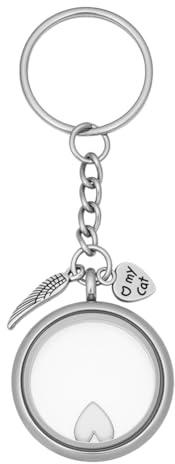 DELORIGIN Porte-clés commémoratif pour poils d'animaux en acier inoxydable porte-clés souvenir en fourrure d'animaux en verre transparent médaillon cœur bijoux pour la perte d'un chien Cadeau de