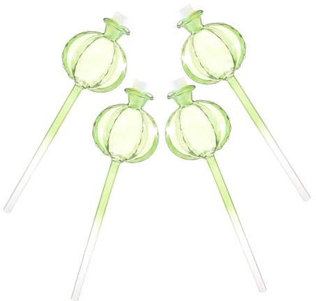Sewroro Lot de 4 Globes d'Arrosage Automatiques en Verre de Cactus Système d'Arrosage pour Plantes en Pot Inserts pour Jardinières pour Arrosage Vacances et Jardinage