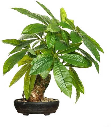 WlP Simulierte Grüne Bonsai-Glücksbaumpflanze Blumenpflanze for Den Innenbereich Zuhause Wohnzimmer Kleine Topfpflanze 17 Zoll Künstlicher Geldbaum Gefälschte Dekorative Pflanze
