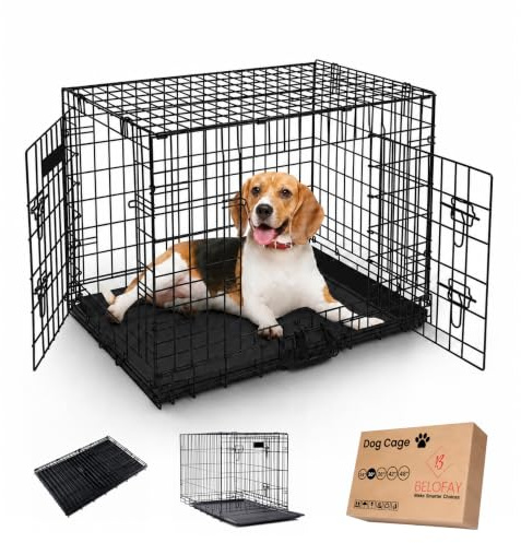 BELOFAY Heavy-Duty Folding Dog Crate | 30-Inch Metal Frame Dog Cage with Dual Access Doors, Chew-Resistant Removable Base Tray, Sliding Lock & Carry Handle – Ideal for Puppy Training & Travel