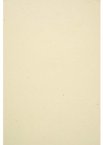 Netuno 10x Naturkarton Tabakfarbe DIN A4 210 x 297 mm 350g Flora Tabacco Öko Bastel-Karton Recycling Karton ökologisch Kreativkarton Vintage Karton für DIY Projekte Dekoration Kunst und Handwerk