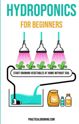Hydroponics for Beginners: Start Growing Vegetables at Home Without Soil