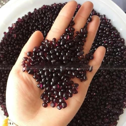 50 g K5 Vetro blu Ghiaia Pietra Smalto colorato verde Roccia Acquario Decorazione per acquario Pietre e cristalli di quarzo naturale-Viola