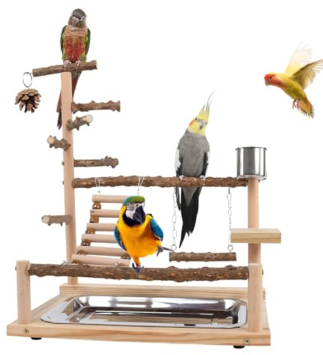 Fågellekplats i trä, parakit lek gym, gunga med rostfritt stål och bricka, klättringsleksak med varm design, gym med rolig stil, fågeltillbehör för nymfparakiter och Conure