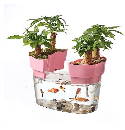 Aquarium Aquarium Acryl Transparent Aquarium Tank Schildkröte Tank Kleiner ökologischer Tank for Aquarien Bonsai Desktop Ornamente Fischtank (Size : M)