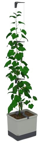 GUSTA GARDEN Curt Cucumber - Selbstbewässernder Gurkentopf mit Ranksystem, 20L Erdvolumen & 4,5L Wassertank, Rankhilfe, Gurken, UV-Stabil, Made in EU (hellgrau)
