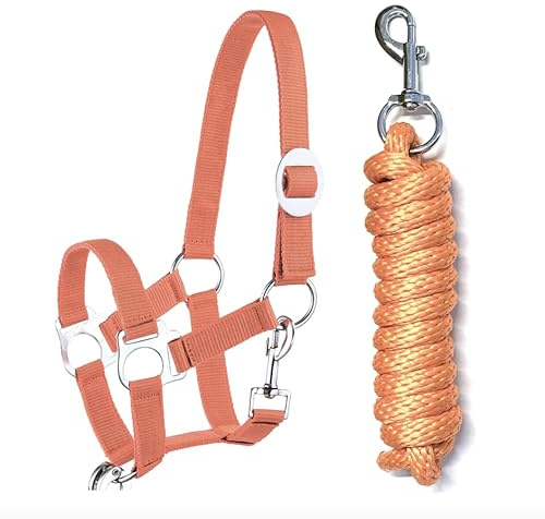 JA Horse JA4001 Essential Halfter Set Karabinerhaken, Orange, Shetty | Verstellbares Pferdehalfter mit Führstrick & Karabinerhaken, Essential Anbindestrick für Pferd & Holzpferd