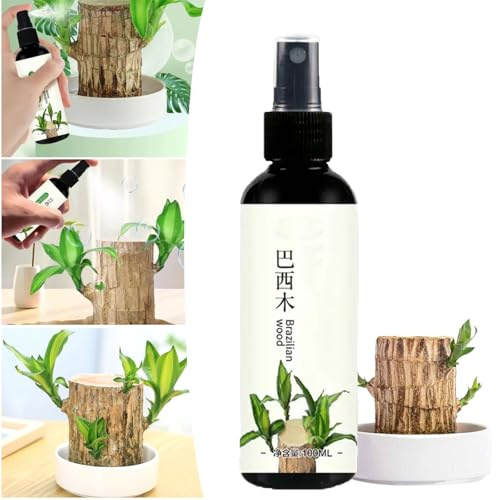 Brazilian Wood Houseplant Fertilizer, Lucky Bamboo Liquid Fertilizer, Brazilian Wood Plant Food, Brazilian Wood Flowering Special Nutrient Solution for Indoor Plants (1PC)