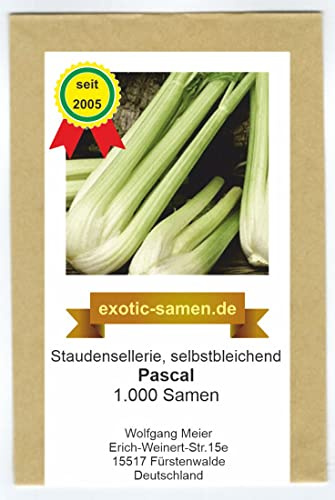 Stangensellerie - Staudensellerie - golden self blanching - samenfeste Sorte – 1.000 Samen