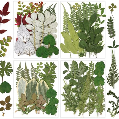 84 Pcs Dried Pressed Leaves Flowers Real Natural Dried Leaves Plant Kit Assorted Dried Greenery for Resin Art DIY Crafts Party Decorations Bookmarks Scrapbooking Candle Soap Making, 20 Types