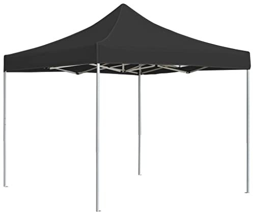 Rantry Professioneller Faltpavillon aus Aluminium, 2 x 2 m, Anthrazit, Außenpavillon für Garten, Balkon, Terrasse, Gartenpavillon, faltbar,
