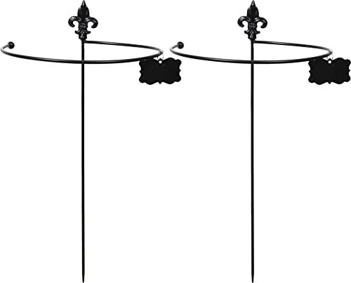 Tuteur à Plantes Rond en Acier Fleurs de lys (Lot de 2)