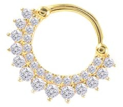 Lieson 1 Stück Nasenringe Nasenpiercing Edelstahl 14G Nasenring Zirkonia Fächerform Piercing Septum Knorpel Tragus Helix Ohrringe Gold