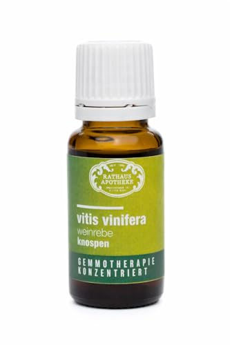 RATHAUS APOTHEKE WIEN Gemmomazerat concentrato - Vitis vinifera - La vite - Qualità apotheen, 15 ml