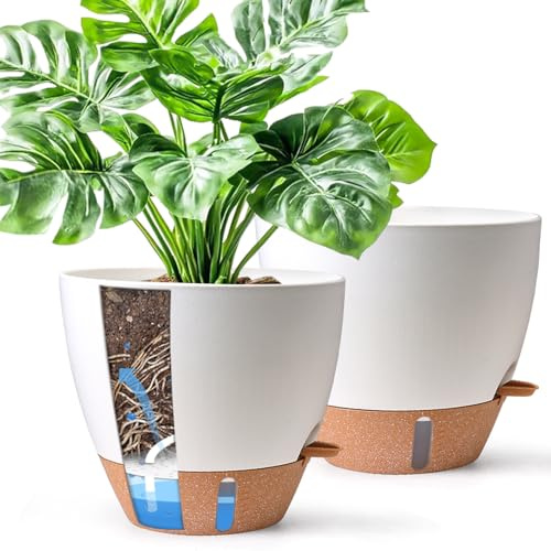 T4U 25cm Self Watering Plant Pots Indoor 2 Pack, Water Level Indicator & Deep Reservoir, Mess-Free Planters for Busy Homes and Beginners, Fit Peace Lily and Snake Plants, Sheltered Outdoor Use(White) | Visible water level window, Monstera pothos and ZZ plants, Bottom watering reservoir, Living room and office use