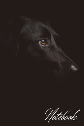 Netbook: Black Dog, Journal, Diary (100 pages)