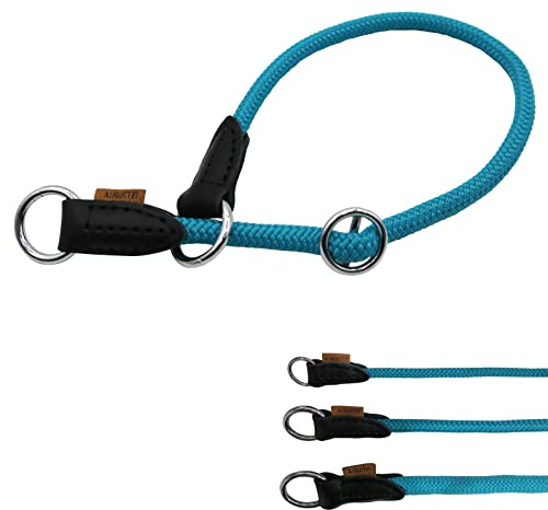 Aiminto Geflochtenes Halsband, Profi-Training-Hundehalsband, kein Ziehen, rundes Martingalhalsband, Schlupfhalsband mit verschiebbarem Stop-Ring – ideal für mittelgroße Hunde (M (1/7,6 cm) – 45,7 cm