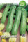 SGARAVATTI Busta Semi Orto Zucchino Romanesco