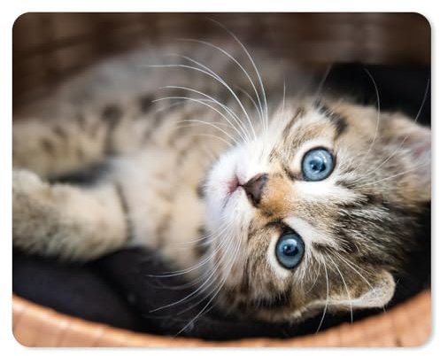 younikat Mauspad mit Katzen-Motiv I 24 x 19 cm I Katzenbaby I Mousepad in Standard-Größe I rutschfest I für Mädchen Teenager und Frauen I dv996