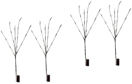 HANABASS 4 Packungen astetisch Pflanzendekor Baum Nachtlichter Dekoration Baumlichter drinnen Wohnkultur dekoratives Licht Ast Baum Lichter künstlich Zweig Birke Vase Rattan-Lampe