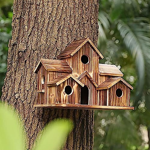 Nichoir à oiseaux pour l'extérieur – Nichoir à 6 trous pour colibris et merlebleus, nichoir à suspendre pour jardin, cour et terrasse, parfait pour les chardonnerets, les moineaux et autres oiseaux