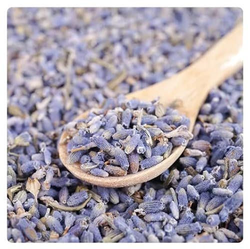 Semillas de Lavandula para Cultivar en el Hogar Semillas Lavanda