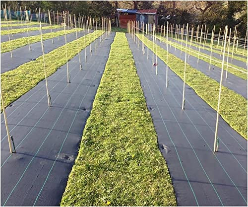 Bâche de protection contre les mauvaises herbes - 1,2 x 139,8 m - Pour le jardin potager et lutter contre les mauvaises herbes - 10 m x 200 m de long