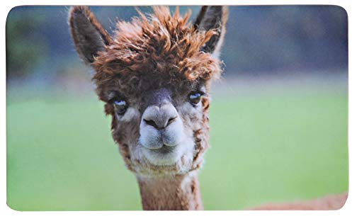 Kesper 31200 - Tablas de desayuno melamina, multicolor