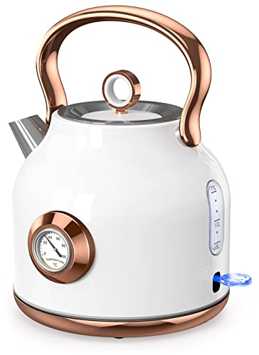 NESSGRAIM Bollitore retrò, bollitore da 1,7 l, in acciaio inox, con grande indicatore di temperatura, 2200 W, riscaldamento rapido con indicatore LED, spegnimento automatico e protezione contro il