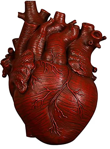 Tubayia Herz Statuen Vase Anatomisches Blumentopf Blumenvase Pflanzer für Wohnzimmer TV Schrank Schlafzimmer (Rot 15x 10,5 X21cm)