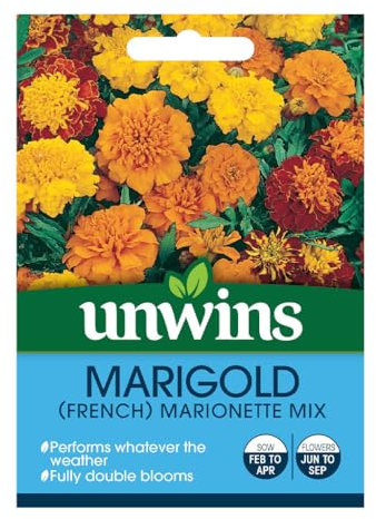 2 Pack Marigold (French Marionette) Garden Flower Seeds Grow Your Own Colourful Flowers, Attract Butterflies & Bees