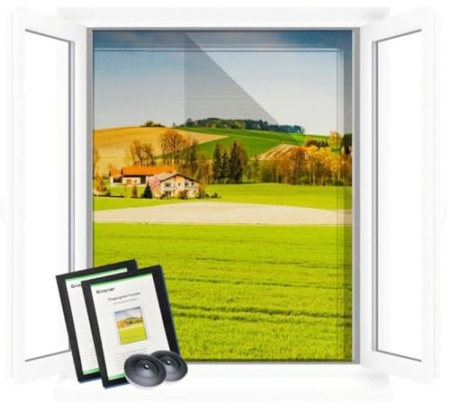 Goaycer Fliegengitter Fenster Schwarz - 2 Stück Insektenschutz Fenster Ohne Bohren - Fliegennetz Fenster Zuschneidbar 130 x 150 cm
