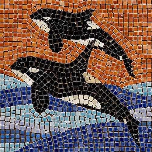 Build a Real Mosaic with Our DIY Mosaic Kit for Adults, Square 7inch (20cm) Orca 2