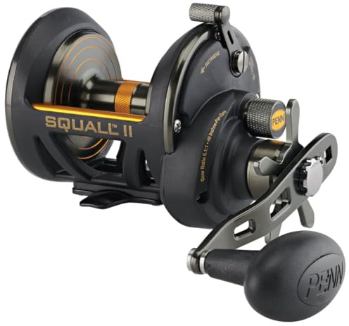 Penn Squall II Star Drag Conventional Fishing Reel