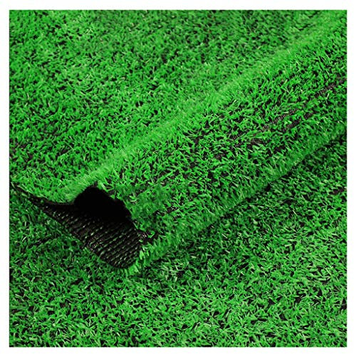 Kunstrasen 10 mm hoher Flor, grüner Grasteppich aus Kunststoff für Parklandschaft, Wandverkleidung, dekorativer Kunstrasen, 2 x 1 m (2 x 6,5 m)