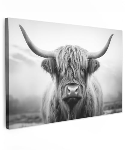 MuchoWow© Bild auf Leinwand Bilder Wanddeko Wohnzimmer Aesthetic Room Decor | 90x60 cm - Deko Zimmer Wandbilder Modern Gemälde Wandbild Schottisches Hochlandrind - Kuh - Highland Cow