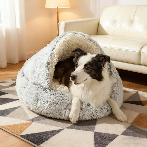 SHJOEE Fluffig hund kattbädd snäckformad 50cm husdjurssoffa varm husdjur cushio mjuk fuskpäls husdjurssäng tvättbar plysch hund katt korg mjuk gosig säng för inomhussömn